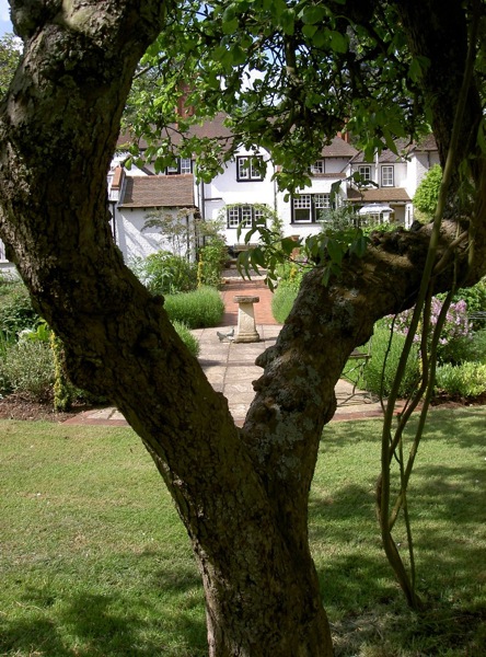 The sundial terrace viewed framed by ancient apple tree